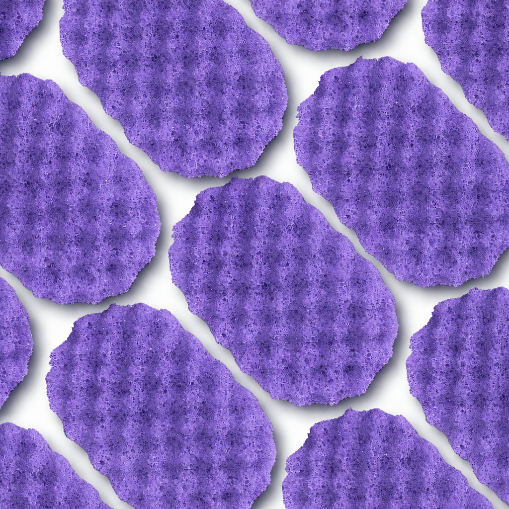 Space Aliens Soap Sponge