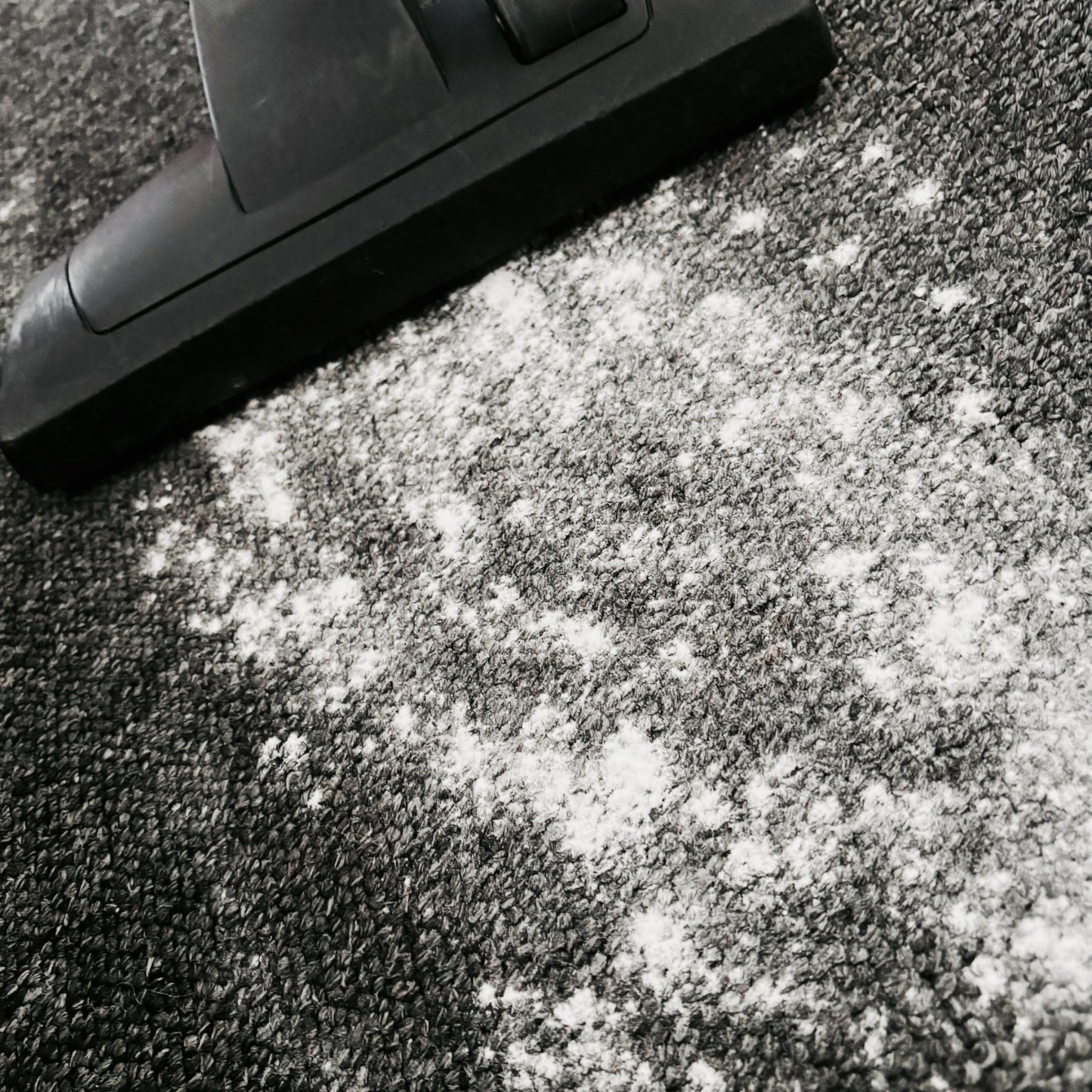 1KG Carpet Fresh - La Vie Est Belle