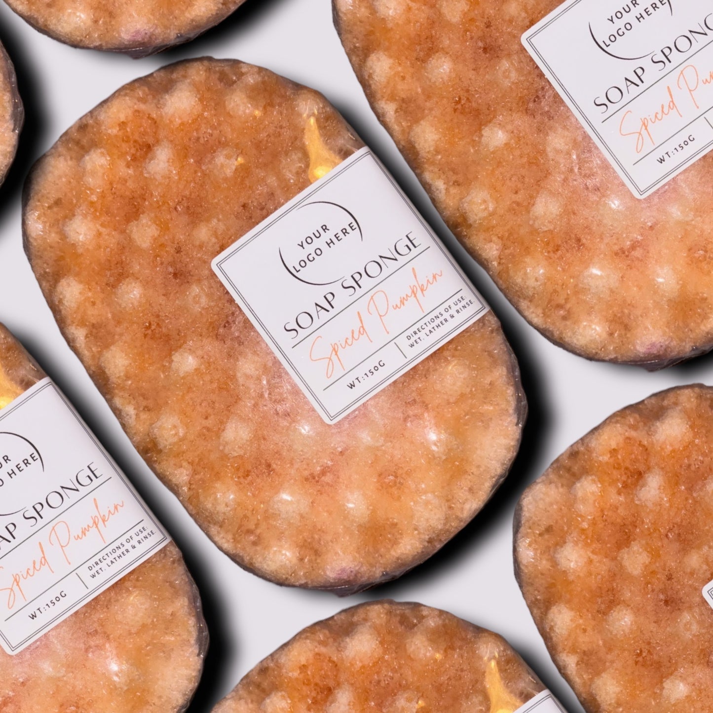 Spiced Pumpkin Soap Sponge
