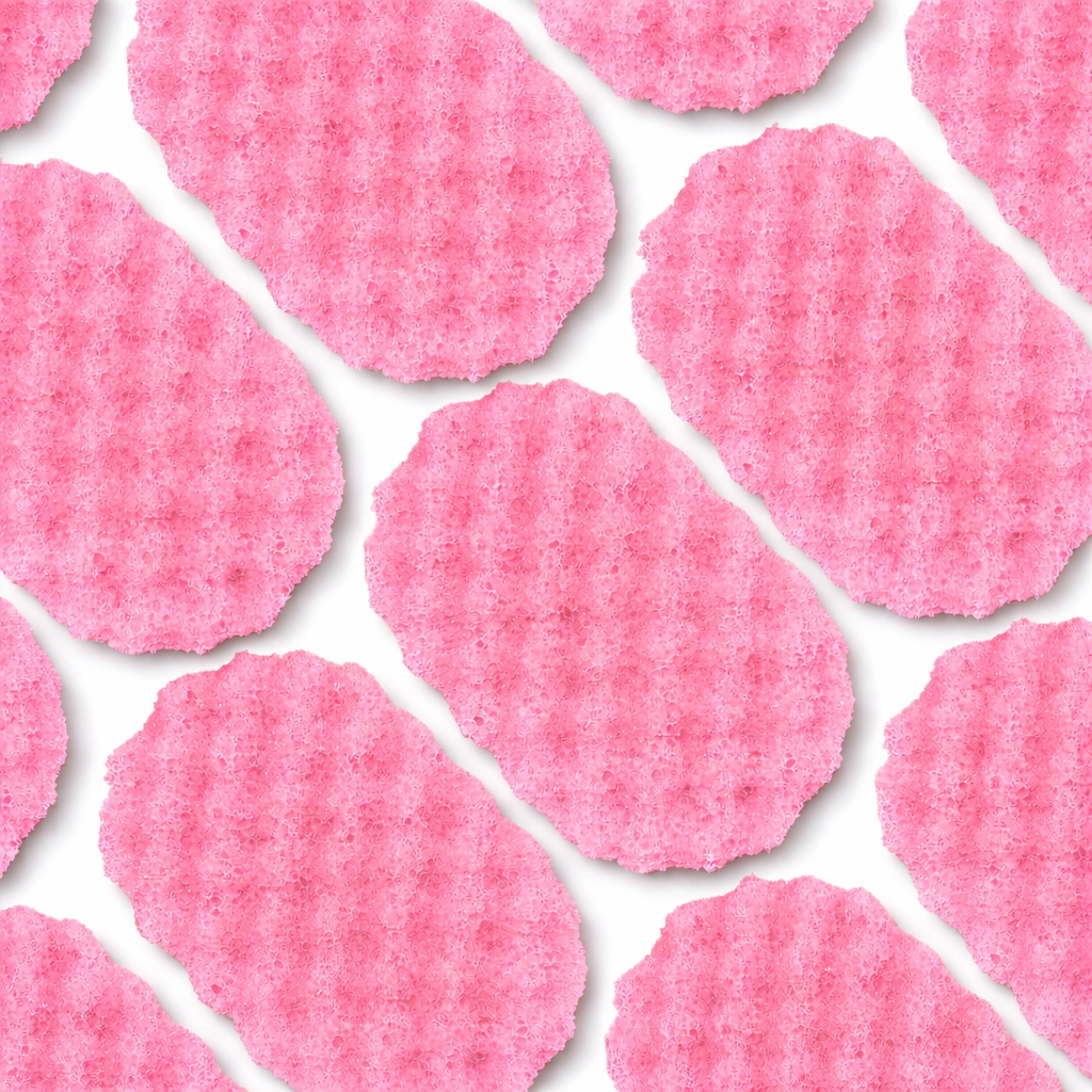 La Vie Est Soap Sponge