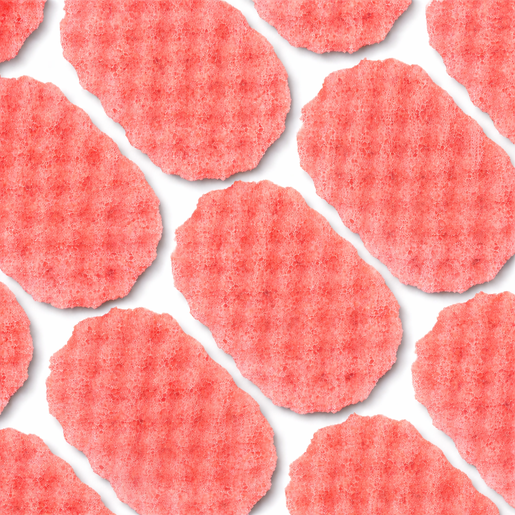 Joup Soap Sponge