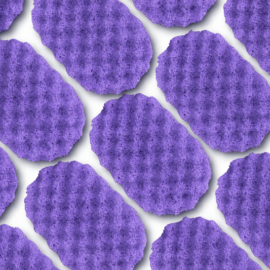Space Aliens Soap Sponge