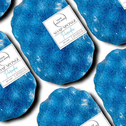Paradox Soap Sponge