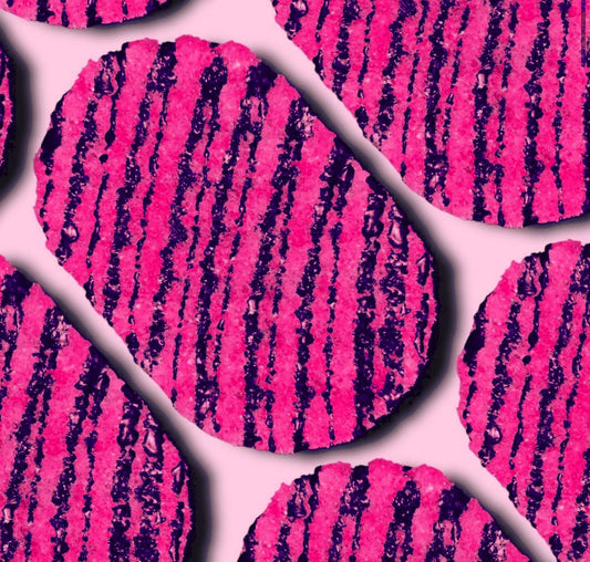 Winter Fairy Soap Sponge