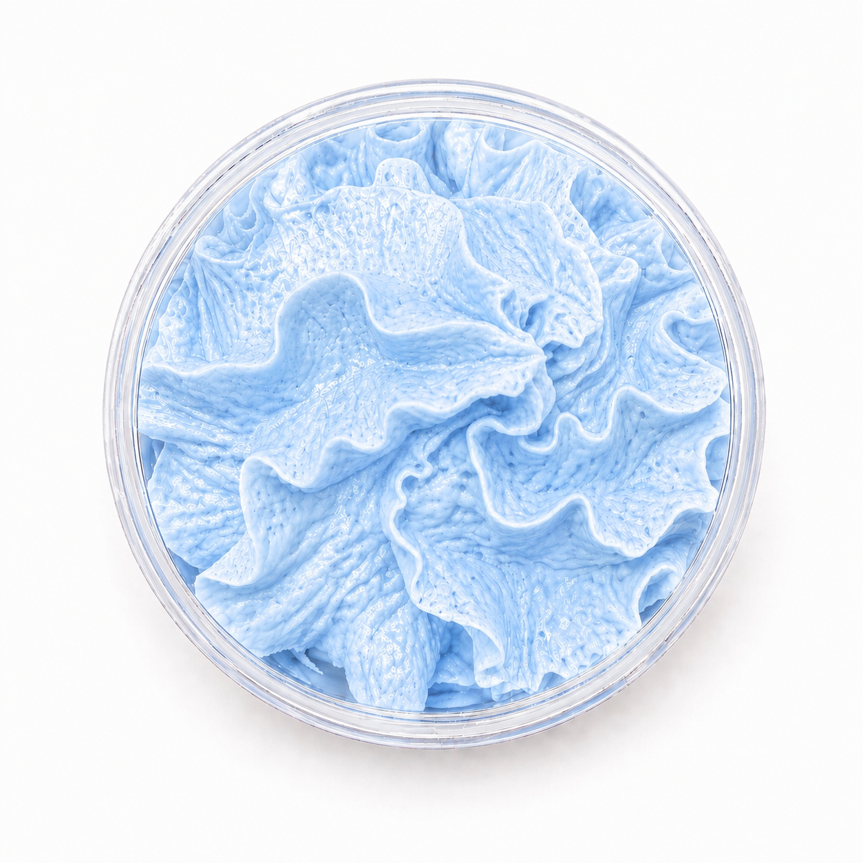 Large Blueberry Slush Whipped Soap 125G