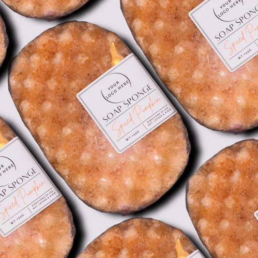 Spiced Pumpkin Soap Sponge